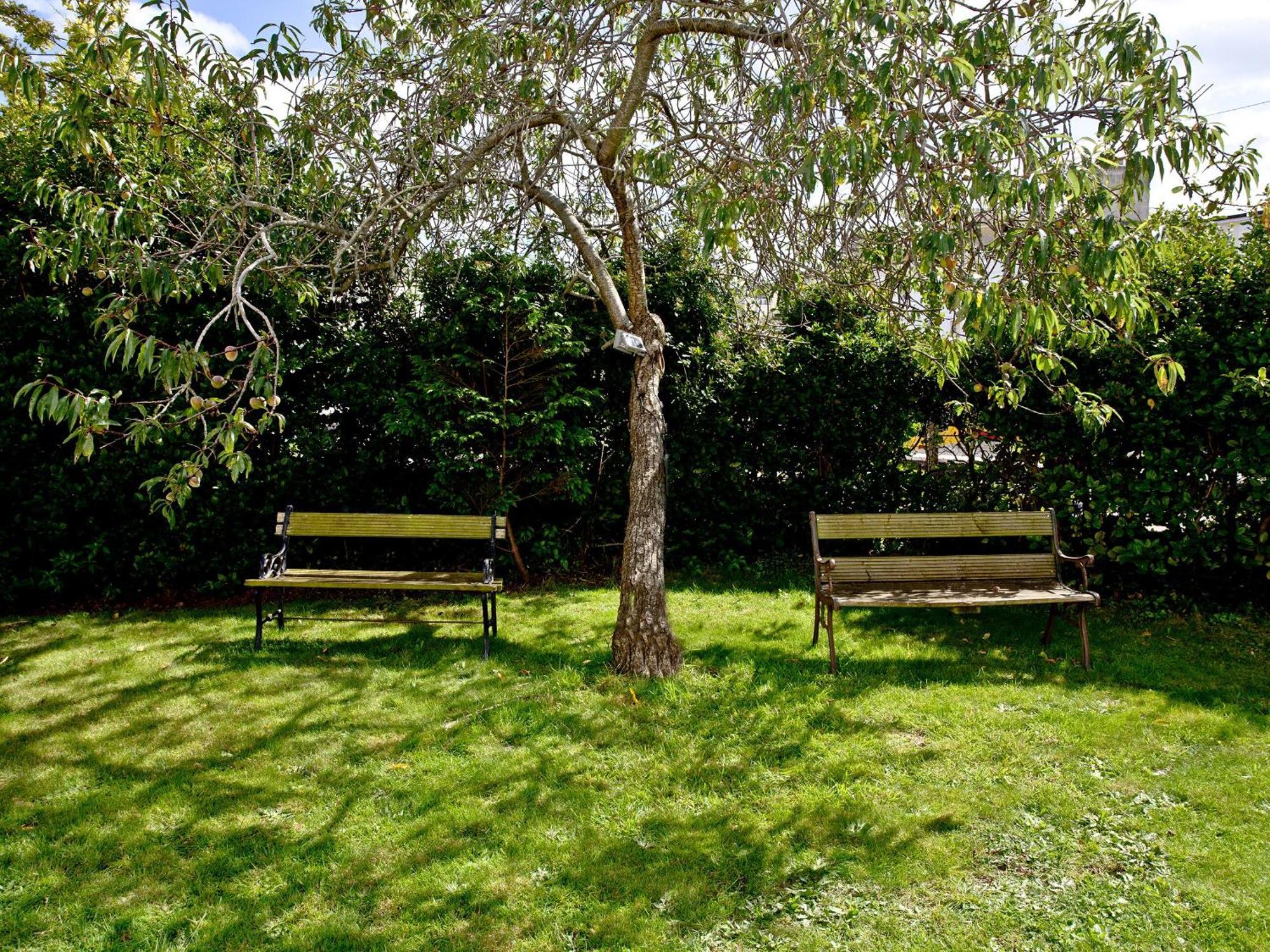 Devon Villa Garden Apartment Torquay Eksteriør billede